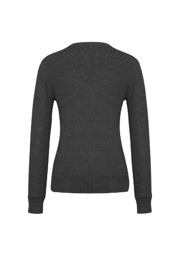 Picture of Biz Collection, V-Neck Ladies Pullover