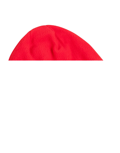 Picture of Winning Spirit, Polar Beanie