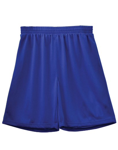 Picture of Winning Spirit, Adults Basketball Shorts