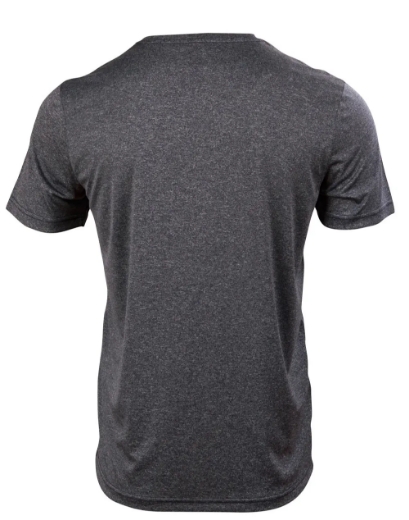 Picture of Winning Spirit, Mens Ultra Dry Cationic S/S Tee