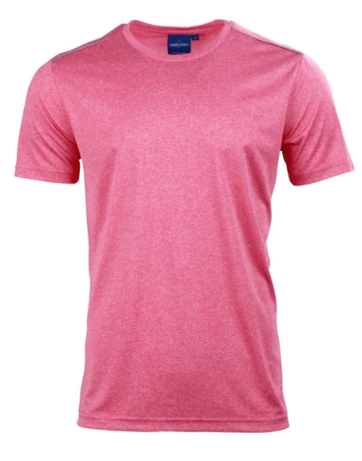 Picture of Winning Spirit, Mens Ultra Dry Cationic S/S Tee