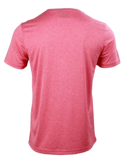 Picture of Winning Spirit, Mens Ultra Dry Cationic S/S Tee