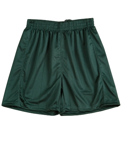 Picture of Winning Spirit, Kids Soccer Shorts