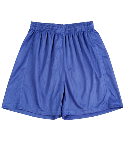 Picture of Winning Spirit, Adults Soccer Shorts