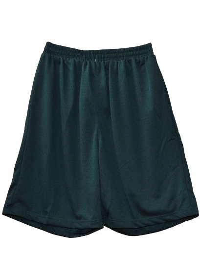 Picture of Winning Spirit, Kids Basketball Shorts