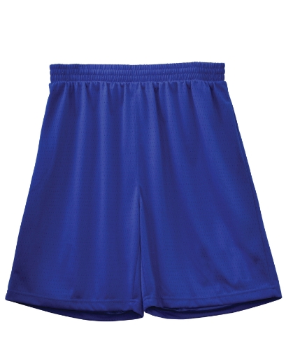 Picture of Winning Spirit, Kids Basketball Shorts