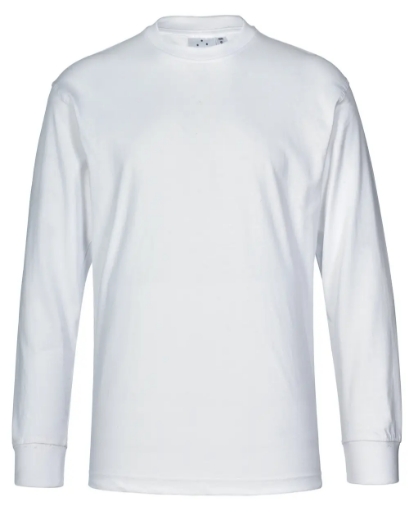 Picture of Winning Spirit, Mens Cotton Crew L/S Tee