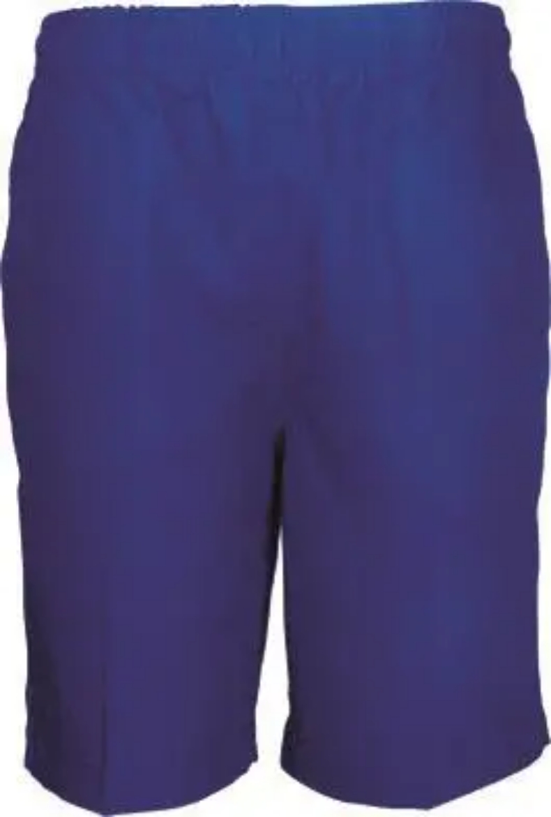 Picture of Bocini, Shool Shorts