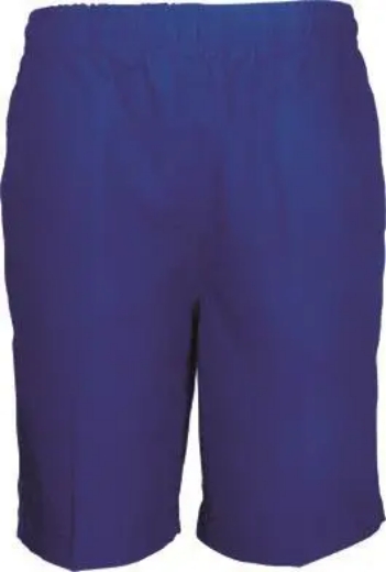 Picture of Bocini, Shool Shorts