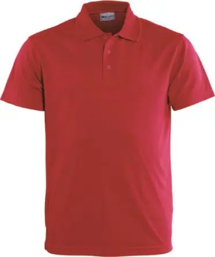 Picture of Bocini, Basic Polo