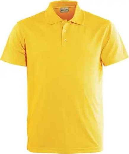 Picture of Bocini, Basic Polo