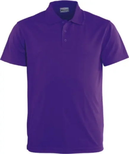 Picture of Bocini, Basic Polo