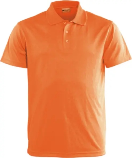 Picture of Bocini, Basic Polo