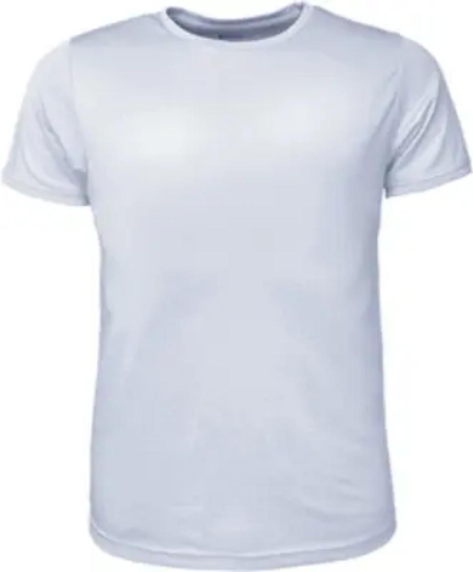 Picture of Bocini, Mens Brushed Tee Shirt