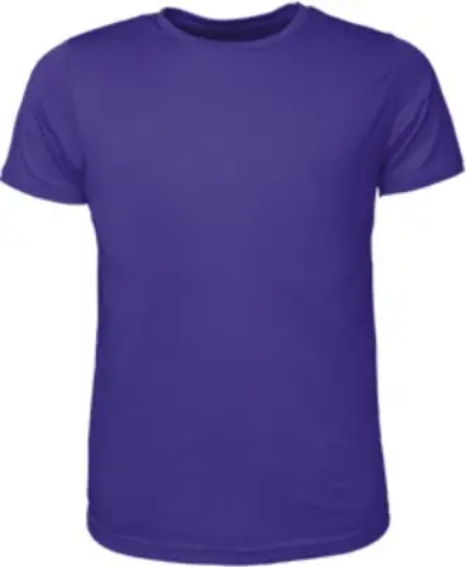 Picture of Bocini, Mens Brushed Tee Shirt