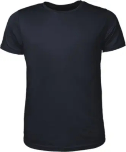 Picture of Bocini, Mens Brushed Tee Shirt