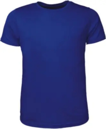 Picture of Bocini, Mens Brushed Tee Shirt