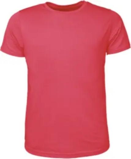 Picture of Bocini, Mens Brushed Tee Shirt