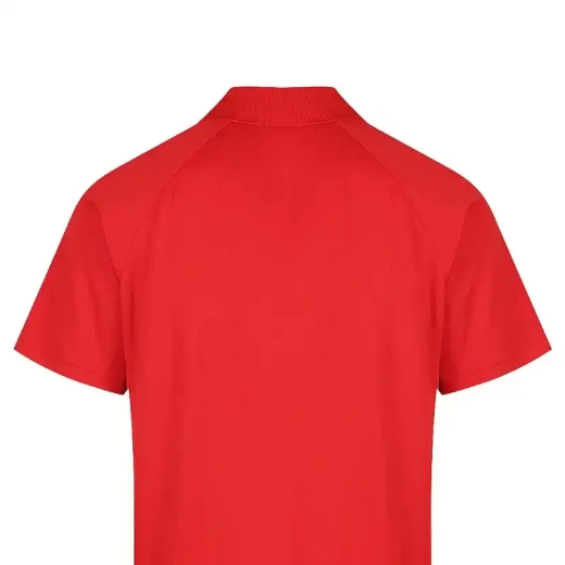 Picture of Aussie Pacific, Mens Keira Polo 