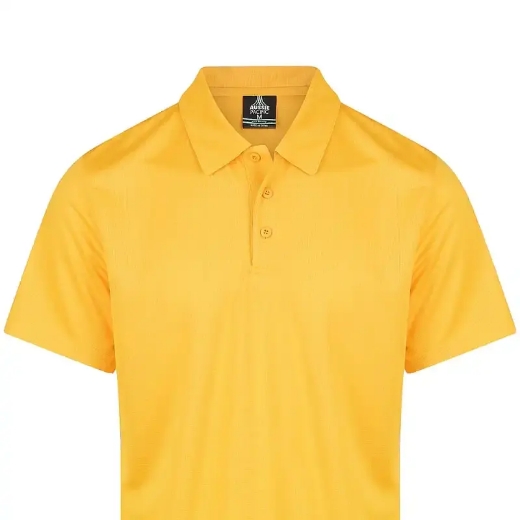 Picture of Aussie Pacific, Mens Botany Polo 