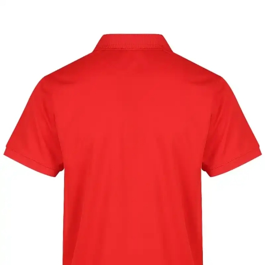 Picture of Aussie Pacific, Mens Lachlan Polo 