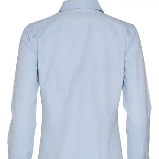 Picture of Winning Spirit, Ladies Pinpoint Oxford L/S Shirt