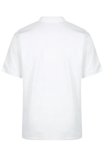 Picture of Aussie Pacific, Mens Claremont Polo 
